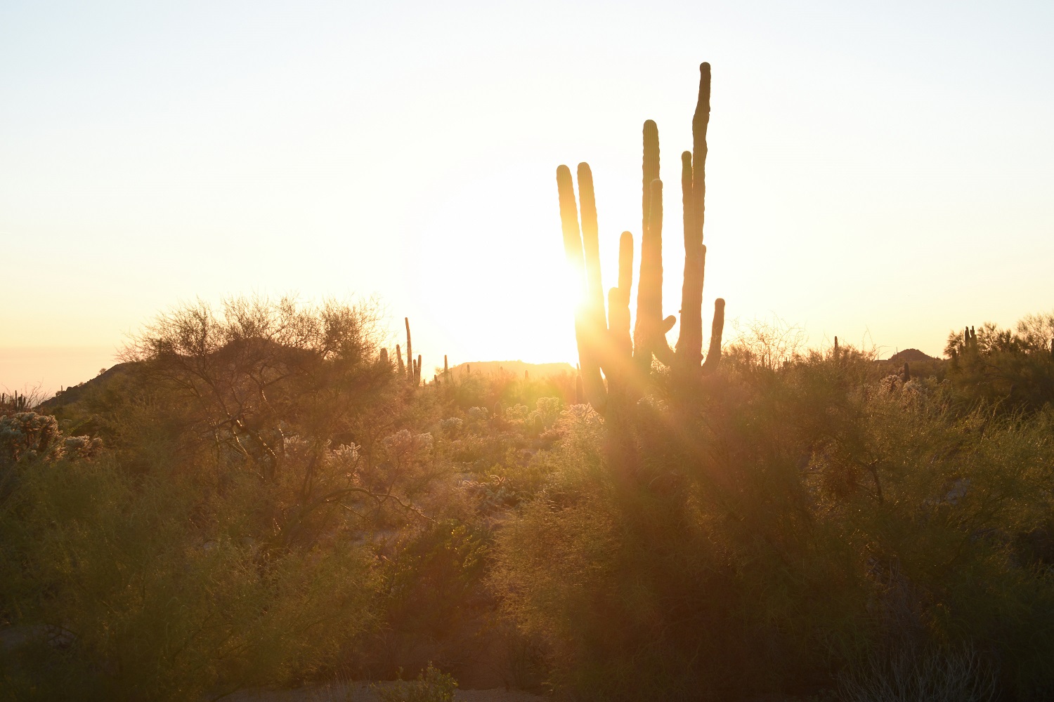 arizona-heat.jpg